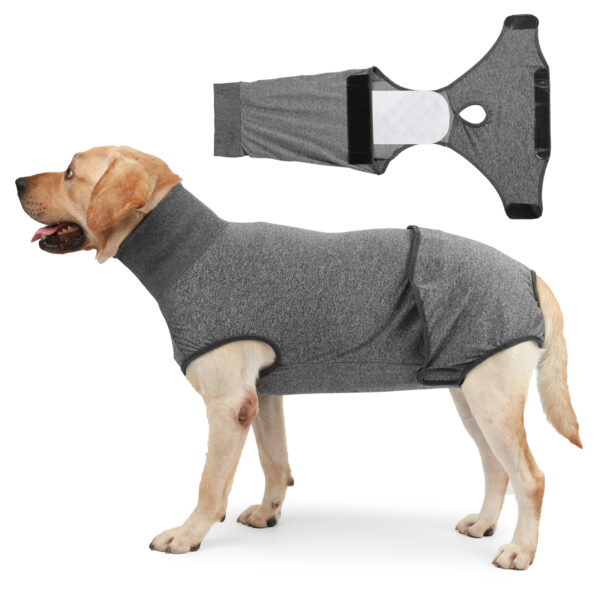 Dog Recovery Suit Solid - JHYFYWE002