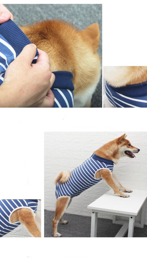 Dog Recovery Suit Row Buttons - JHYFAD001 - Image 5