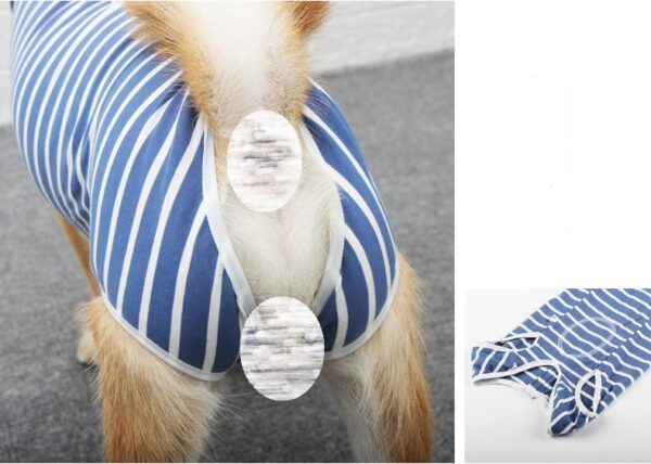 Dog Recovery Suit Row Buttons - JHYFAD001 - Image 7