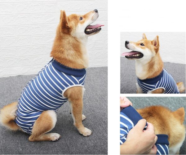 Dog Recovery Suit Row Buttons - JHYFAD001 - Image 3