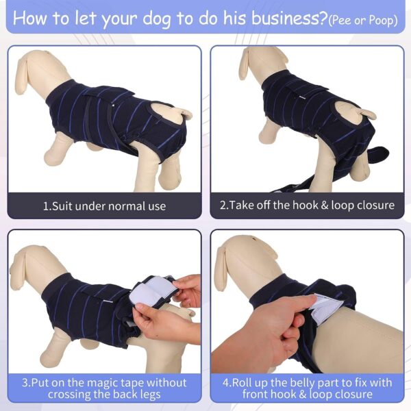 Dog Recovery Suit Customization - JHYFCL001 - Image 3
