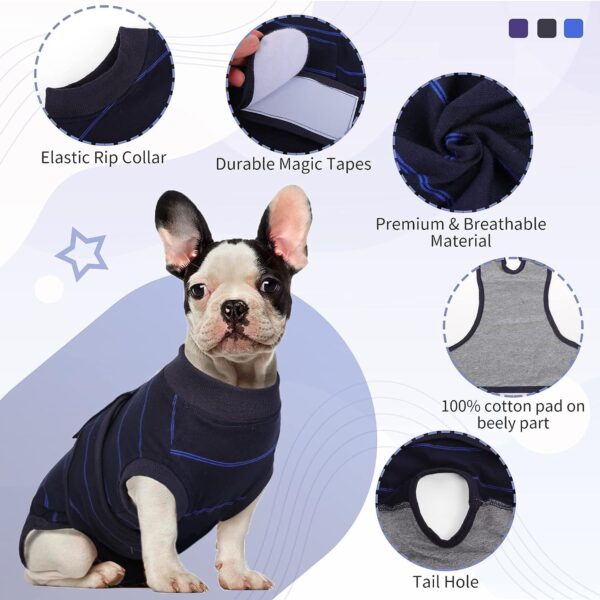 Dog Recovery Suit Customization - JHYFCL001 - Image 2