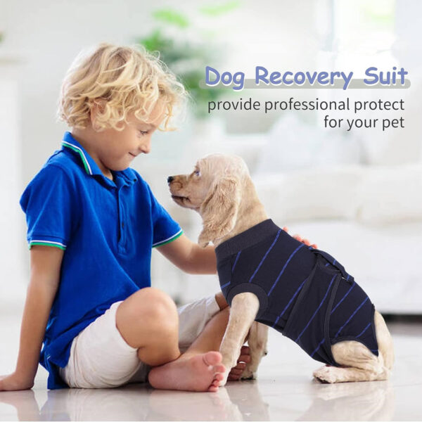 Dog Recovery Suit Customization - JHYFCL001 - Image 4