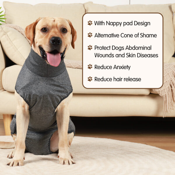 Dog Recovery Suit Solid - JHYFYWE002 - Image 5