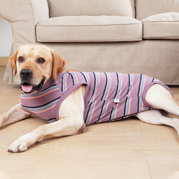Dog Recovery Suit Strip Design - JHYF011 - Image 2