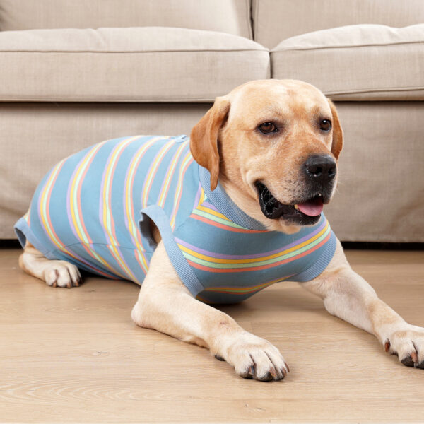 Dog Recovery Suit Strip Design - JHYF011