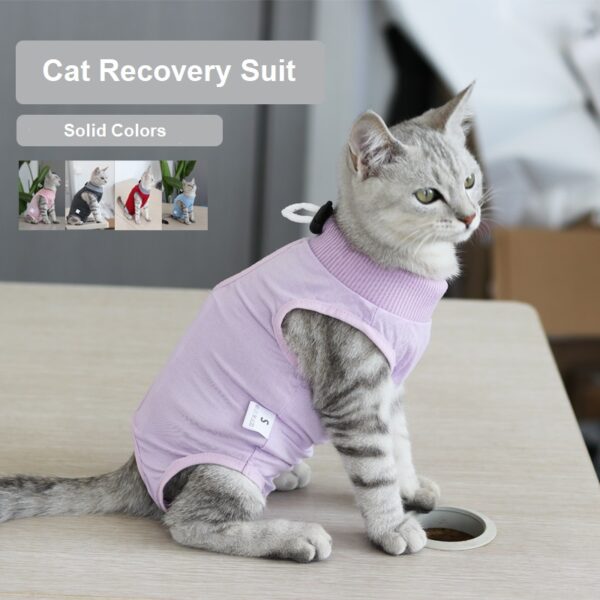 Cat Recovery Suit Solid - JHYFAD002