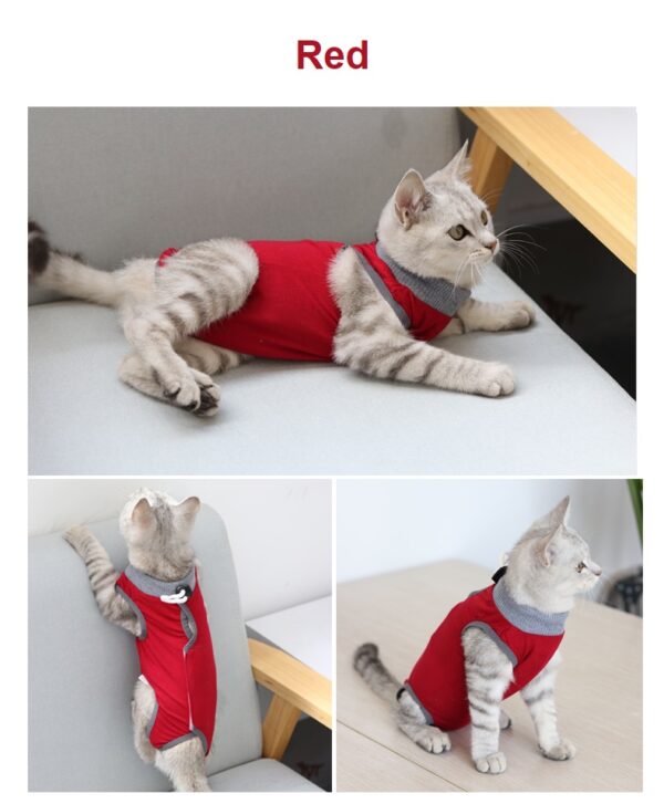 Cat Recovery Suit Solid - JHYFAD002 - Image 5