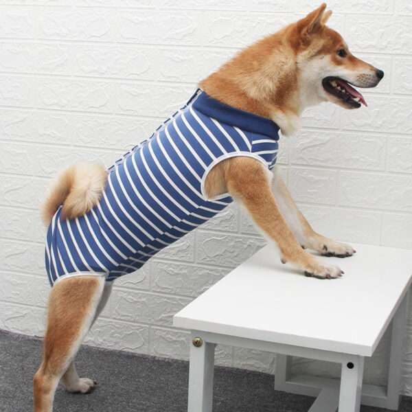 Dog Recovery Suit Row Buttons - JHYFAD001
