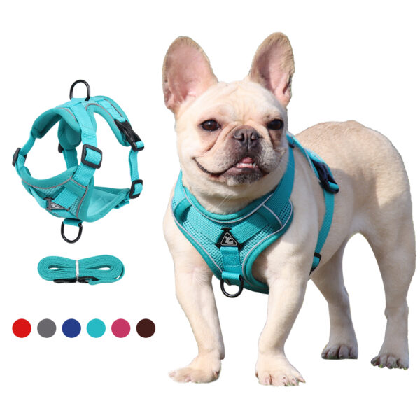 Cat & Dog Harness+Leash - JHXBFB864