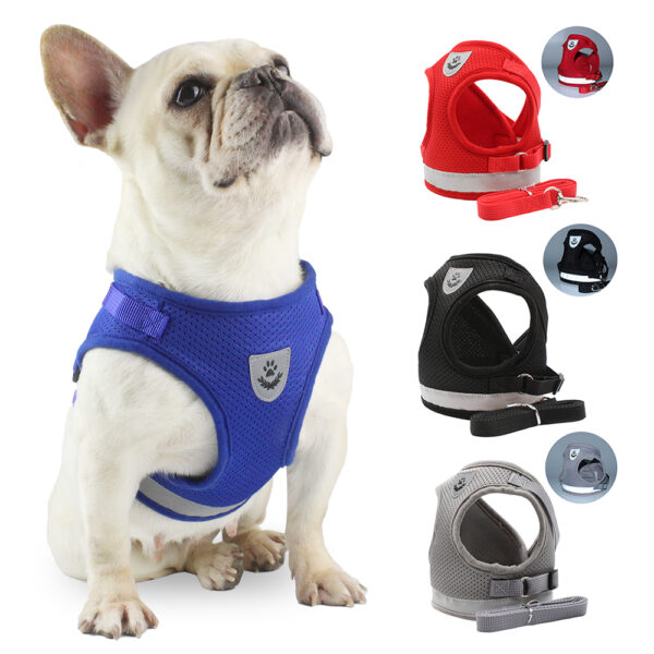 Dog Harness+Leash - JHXBFB844