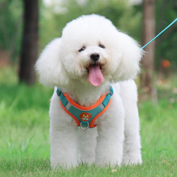 Dog Harness+Leash - JHXBFB867 - Image 5