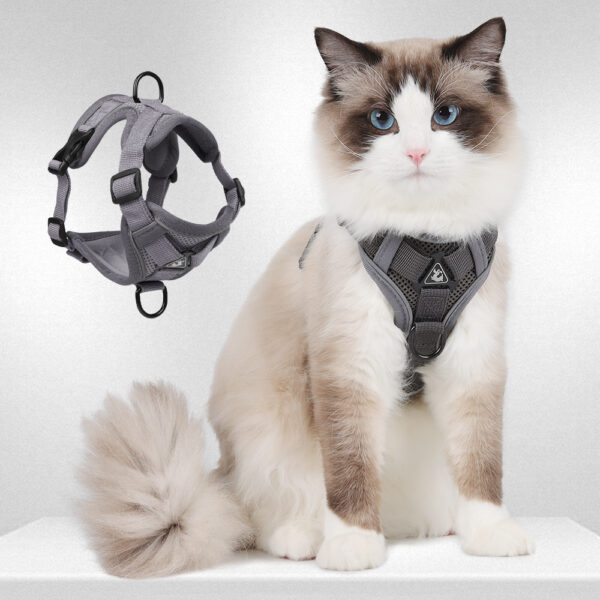 Cat & Dog Harness+Leash - JHXBFB864 - Image 2