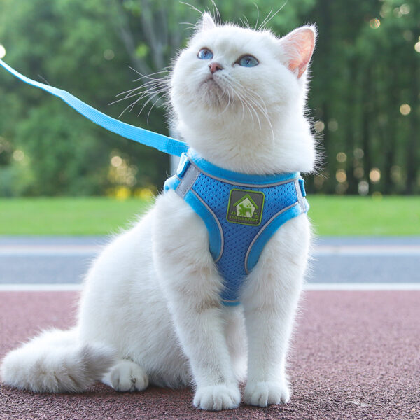 Cat & Dog Harness+Leash - JHXBFB855 - Image 3