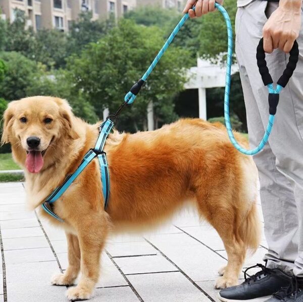 Dog Leash JHQYMH001 - Image 2