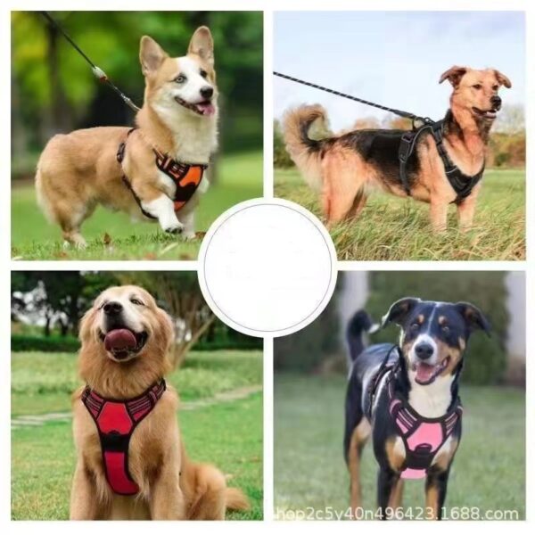 Dog Harness JHXBMH005 - Image 2