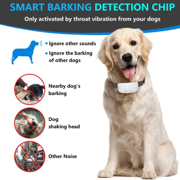Automatic Dog Bark Collar Collection #2 - JHXQJL001 - Image 3