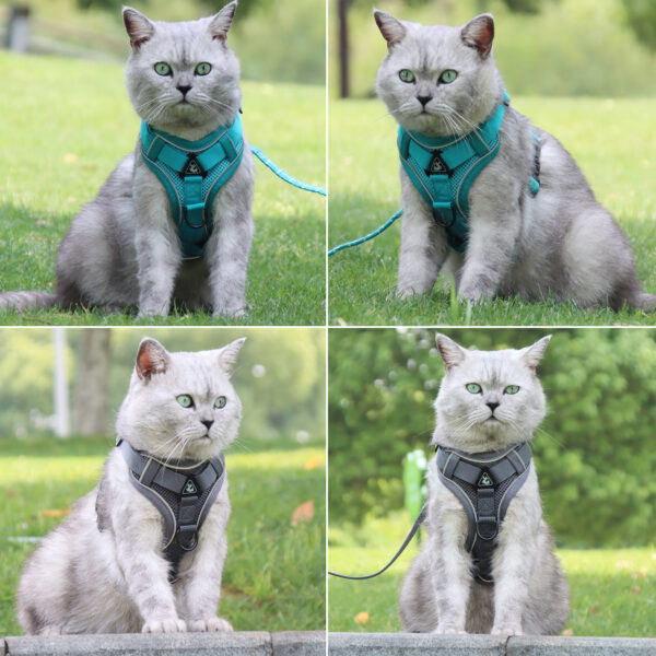 Cat & Dog Harness+Leash - JHXBFB864 - Image 4