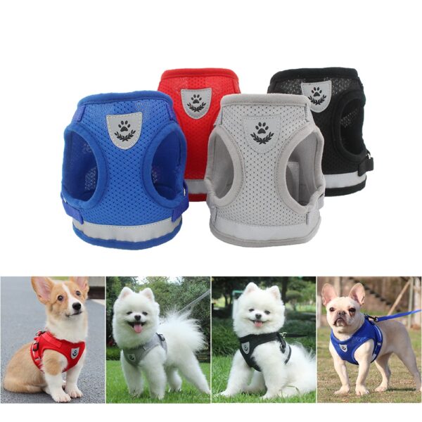 Dog Harness+Leash - JHXBFB844 - Image 4