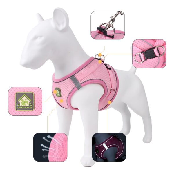 Cat & Dog Harness+Leash - JHXBFB855 - Image 4