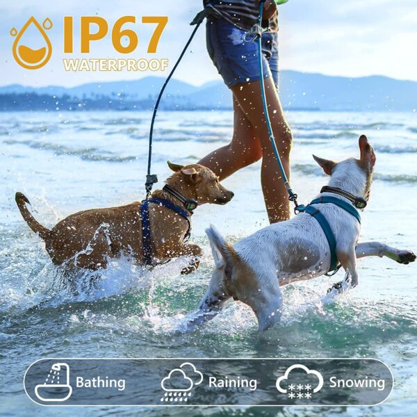 Automatic Dog Bark Collar Collection #2 - JHXQJL001 - Image 7