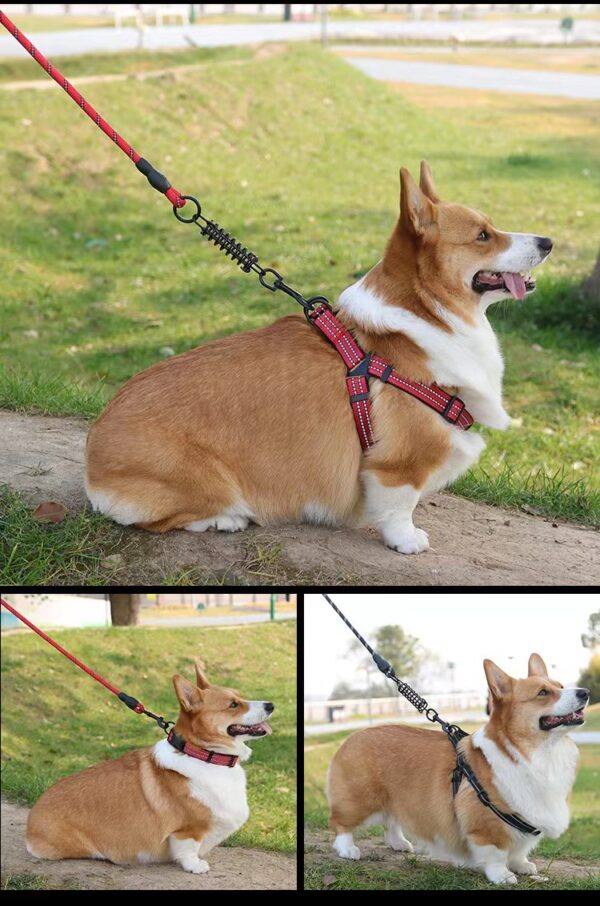 Dog Leash with Spring JHQYMH003 - Image 3