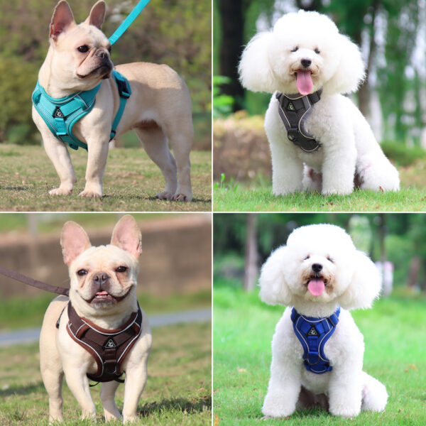 Cat & Dog Harness+Leash - JHXBFB864 - Image 3