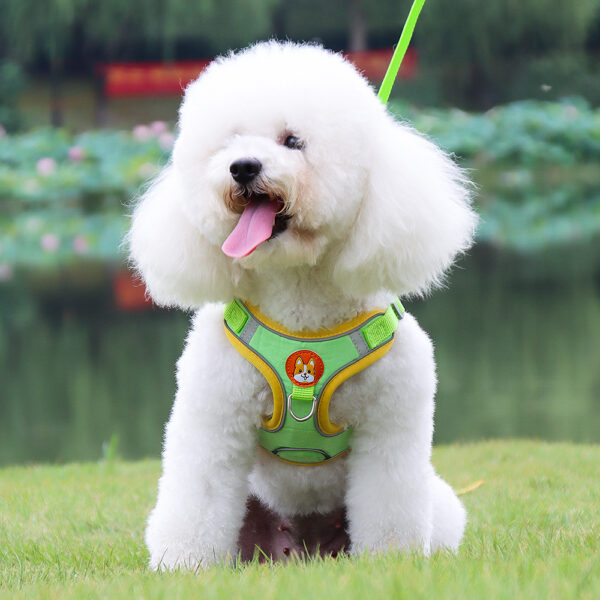 Dog Harness+Leash - JHXBFB867 - Image 3