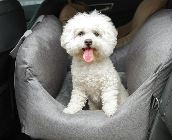 Dog Car Seat Carrier with Handles - JHCZC330