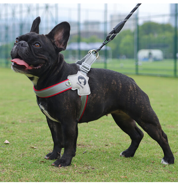 Lightweight Dog Harness - JHXBFB515 - Image 3