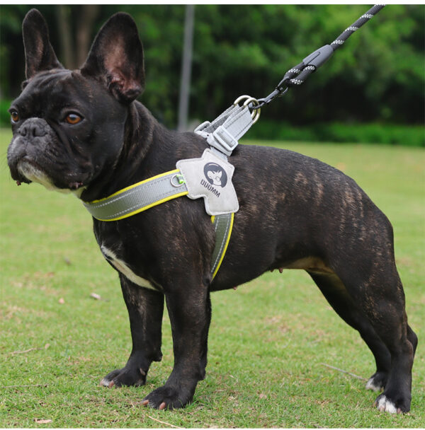 Lightweight Dog Harness - JHXBFB515 - Image 5