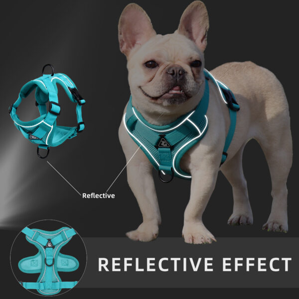 Cat & Dog Harness+Leash - JHXBFB864 - Image 6