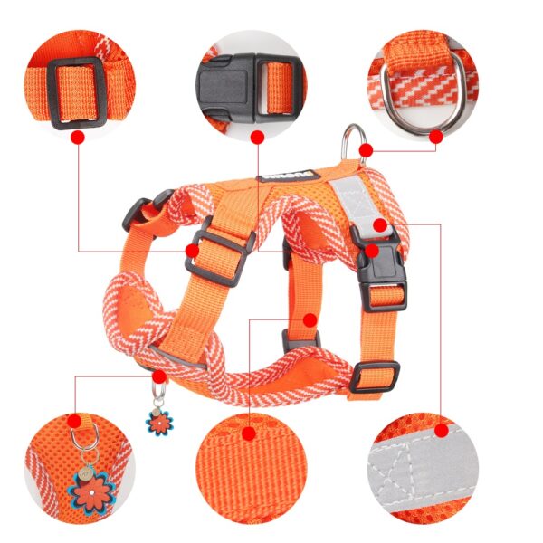 Dog Harness+Leash - JHXBFB887 - Image 2