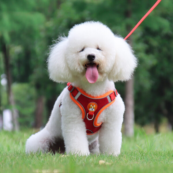 Dog Harness+Leash - JHXBFB867 - Image 4