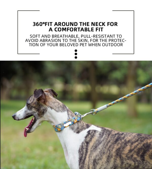 Dog Collar- JHXQCC309 - Image 3