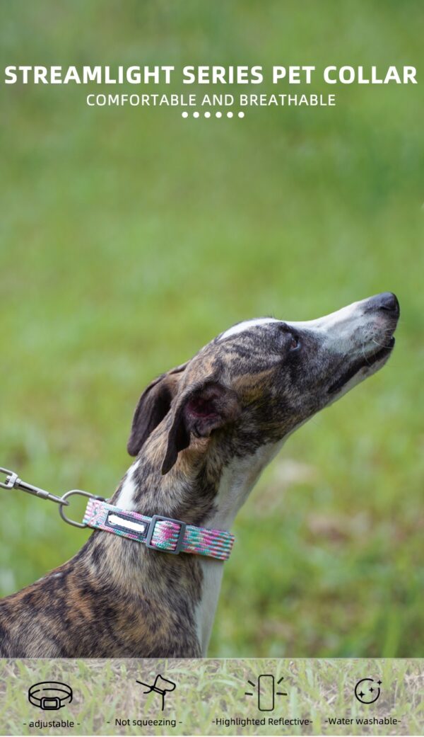 Dog Collar- JHXQCC309 - Image 2