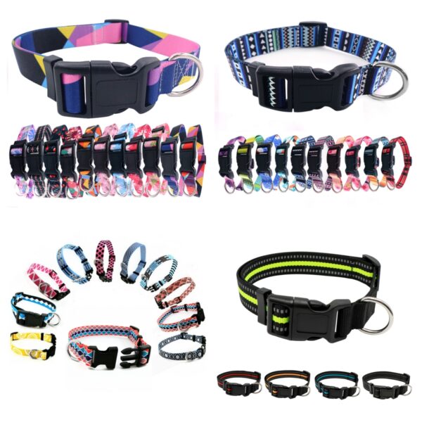 Dog Collars Collection #1