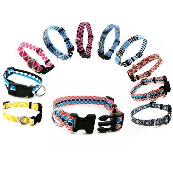 Dog Collars Collection #1 - Image 4