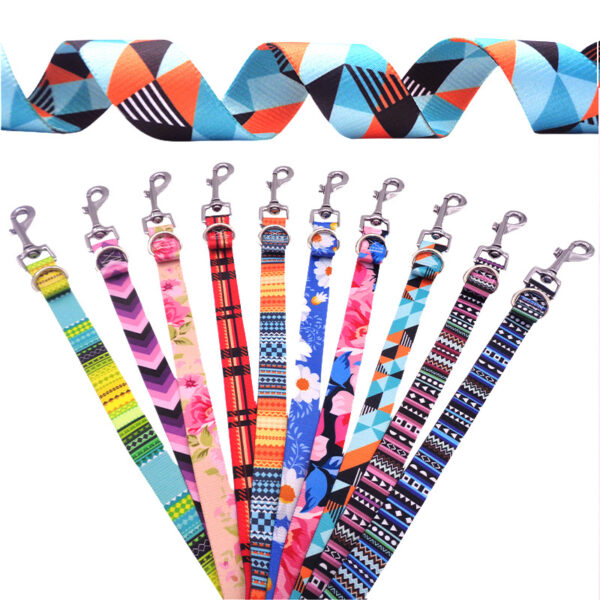 Dog Leash Collection #1 - Image 2