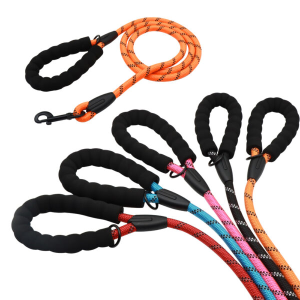 Dog Leash Collection #1 - Image 4