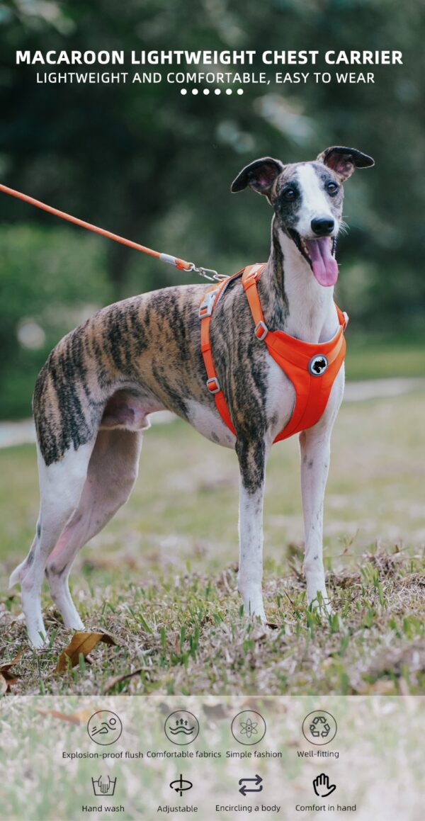 Dog Harness Adjustable No Pull - JHXBHH201 - Image 2