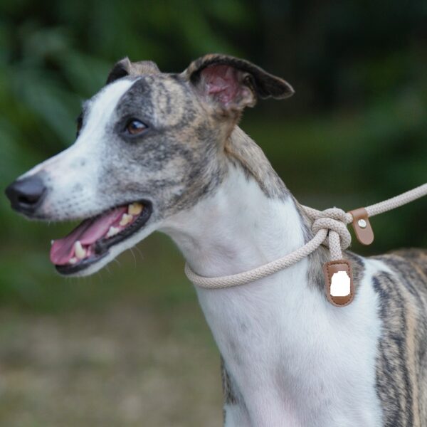 Dog Leash JHQYLL312 - Image 5