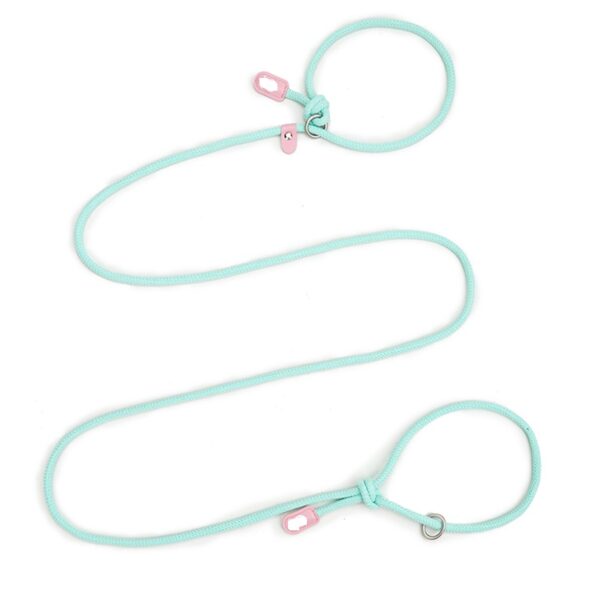 Dog Leash JHQYLL312