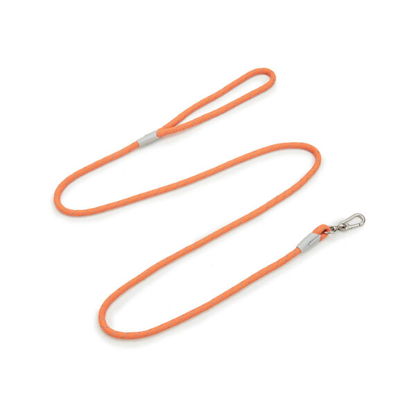 Dog Leash JHQYLL201