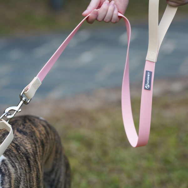 PVC Covered Ribbon Dog Leash JHQYLL337 - Image 4