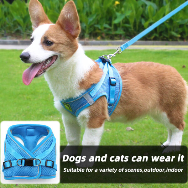 Cat & Dog Harness+Leash - JHXBFB855
