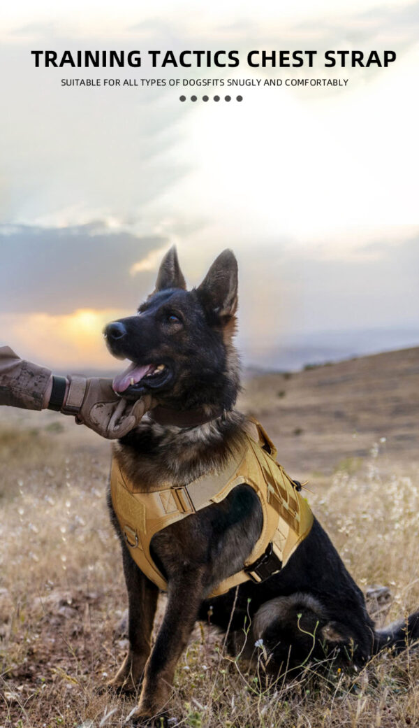 Tactical Dog Harness No Pull - Image 2