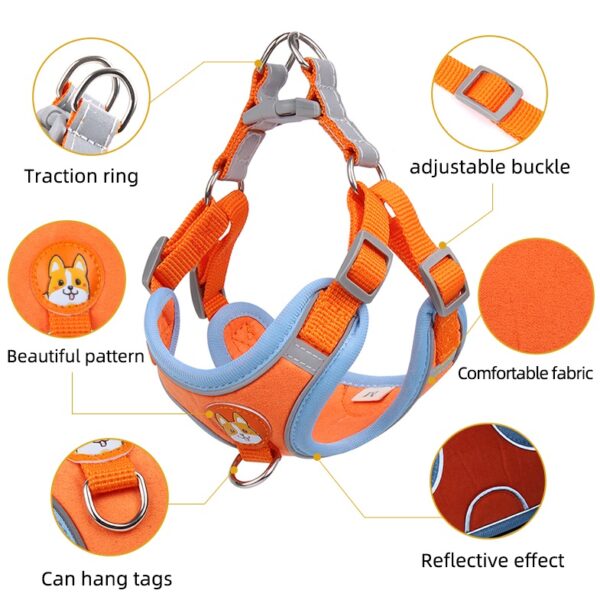 Dog Harness+Leash - JHXBFB867 - Image 2