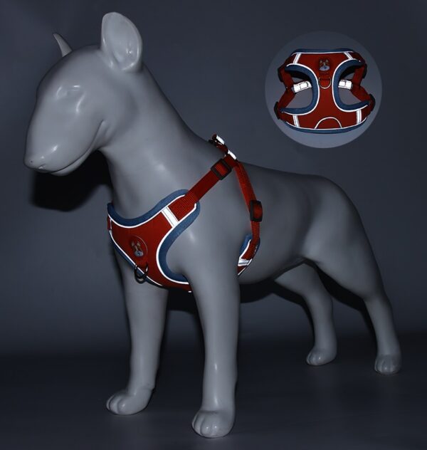 Dog Harness+Leash - JHXBFB867 - Image 9