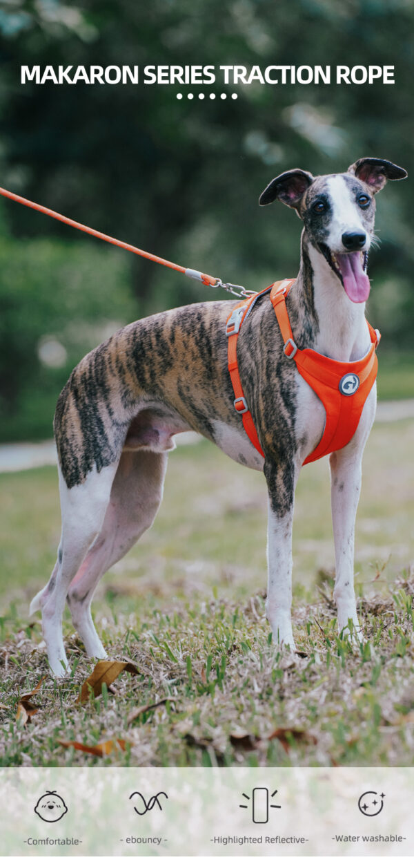 Dog Leash JHQYLL201 - Image 4